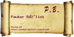 Pauker Bálint névjegykártya