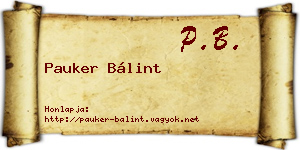 Pauker Bálint névjegykártya
